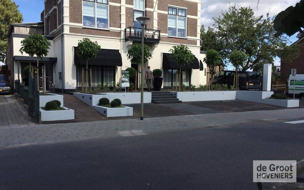 Witte plantenbakken en bomen langs een voorgevel