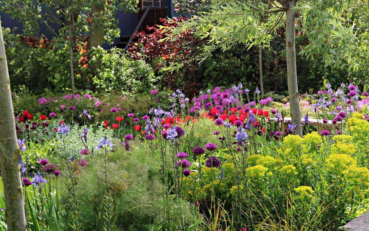 Bloembollen tussen de vaste planten