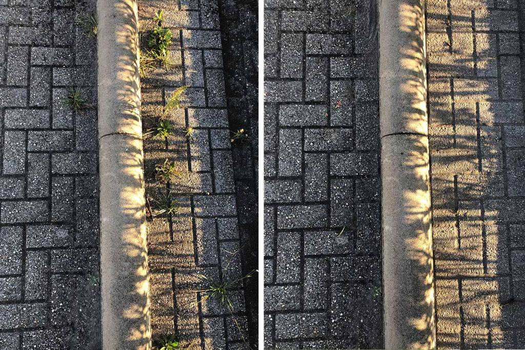 Vergelijking van bestrating met en zonder begroeiing tussen de voegen